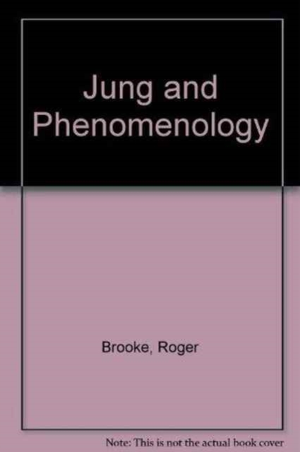 Jung and Phenomenology, Hardback Book