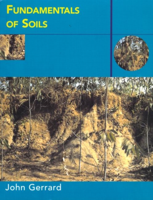 Fundamentals of Soils, Paperback / softback Book
