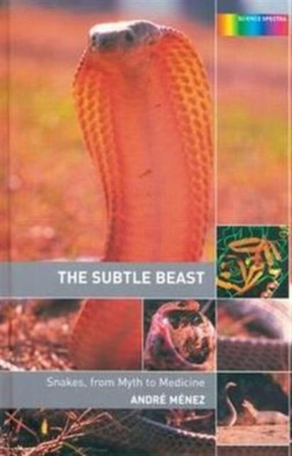 The Subtle Beast : Snakes, From Myth to Medicine, Hardback Book