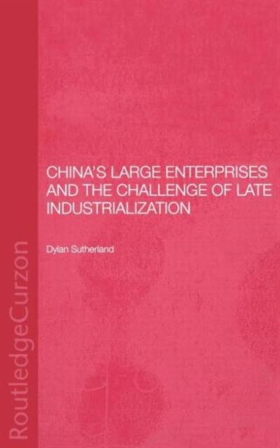 China's Large Enterprises and the Challenge of Late Industrialisation, Hardback Book