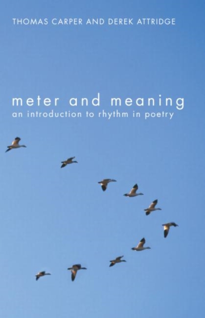 Meter and Meaning : An Introduction to Rhythm in Poetry, Paperback / softback Book