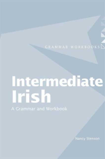 Intermediate Irish: A Grammar and Workbook, Paperback / softback Book