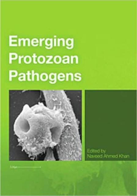 Emerging Protozoan Pathogens, Paperback / softback Book