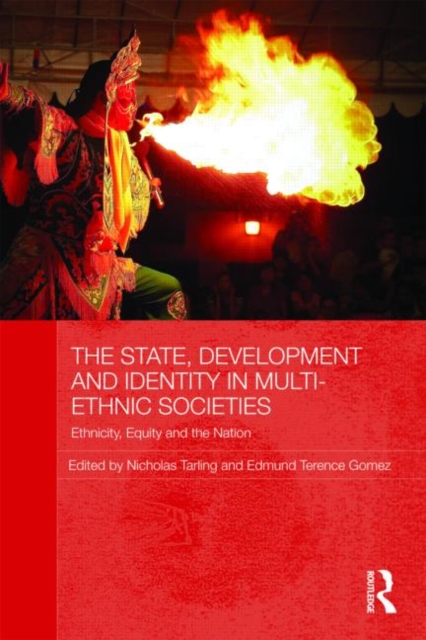 The State, Development and Identity in Multi-Ethnic Societies : Ethnicity, Equity and the Nation, Paperback / softback Book
