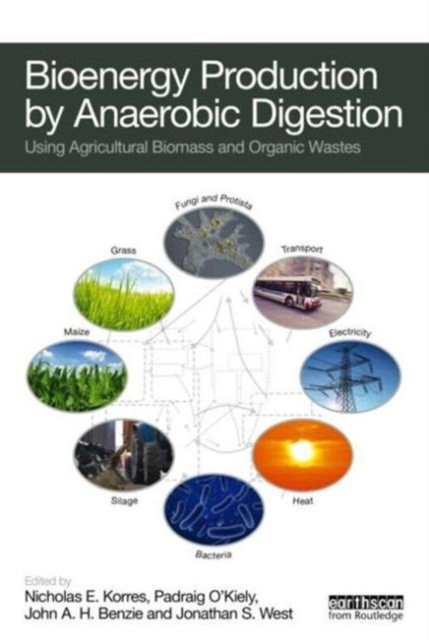 Bioenergy Production by Anaerobic Digestion : Using Agricultural Biomass and Organic Wastes, Hardback Book