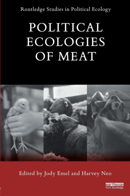 Political Ecologies of Meat, Paperback / softback Book