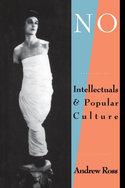 No Respect : Intellectuals and Popular Culture, Paperback / softback Book