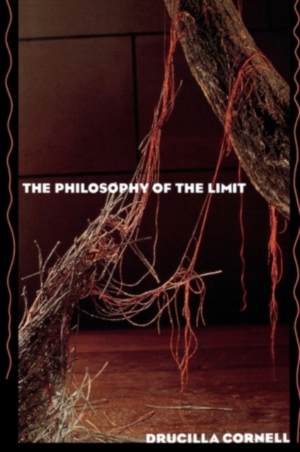 The Philosophy of the Limit, Paperback / softback Book