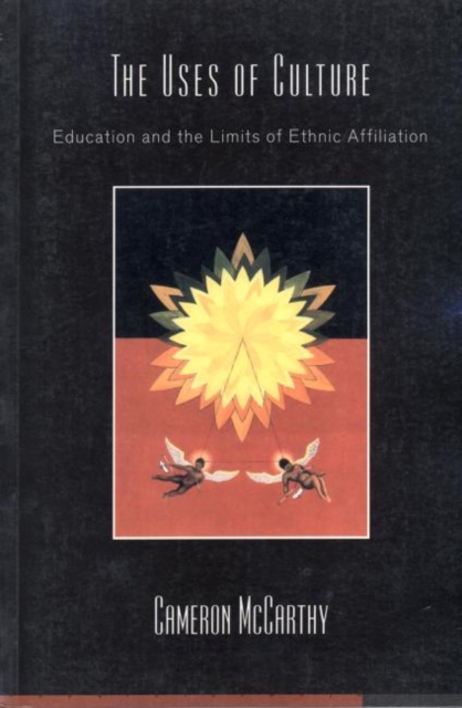 The Uses of Culture : Education and the Limits of Ethnic Affiliation, Paperback / softback Book