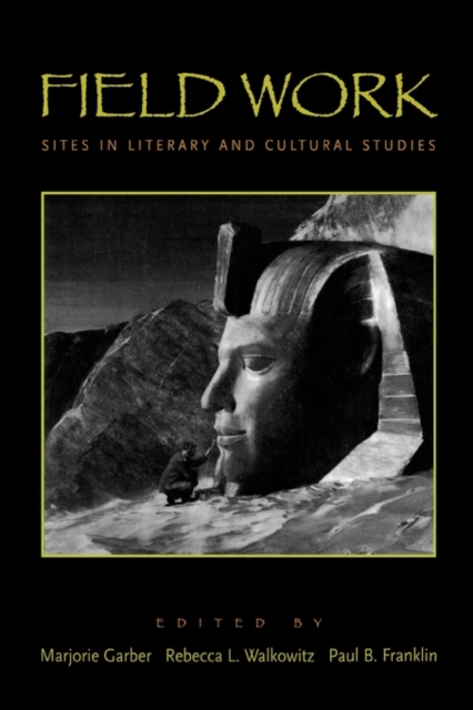 Field Work : Sites in Literary and Cultural Studies, Paperback / softback Book