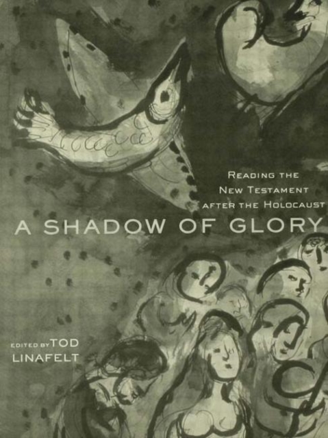 A Shadow of Glory : Reading the New Testament After the Holocaust, Hardback Book