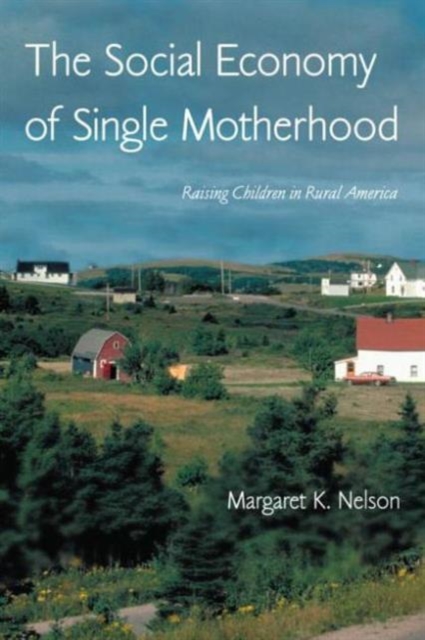 The Social Economy of Single Motherhood : Raising Children in Rural America, Paperback / softback Book