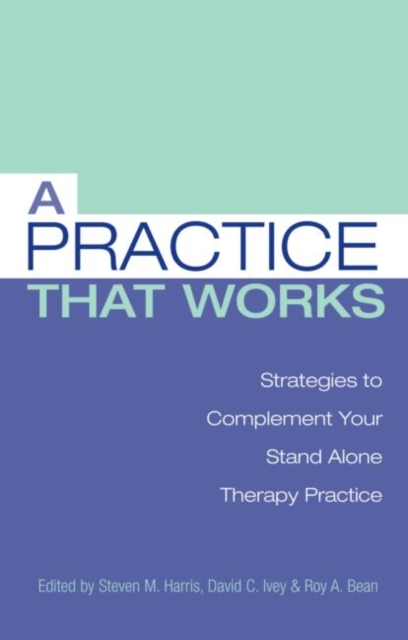 A Practice that Works : Strategies to Complement Your Stand Alone Therapy Practice, Hardback Book