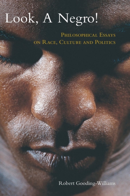 Look, a Negro! : Philosophical Essays on Race, Culture, and Politics, Paperback / softback Book