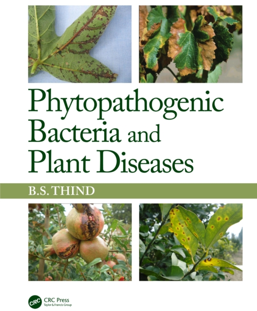 Phytopathogenic Bacteria and Plant Diseases, PDF eBook