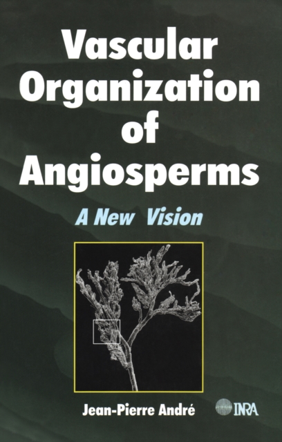 Vascular Organization of Angiosperms : A New Vision, EPUB eBook