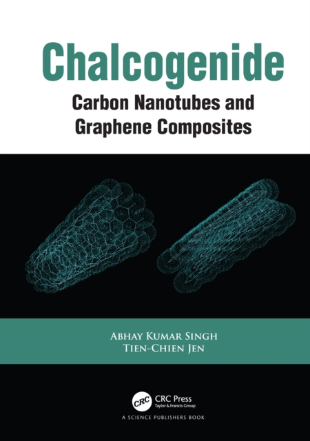 Chalcogenide : Carbon Nanotubes and Graphene Composites, EPUB eBook