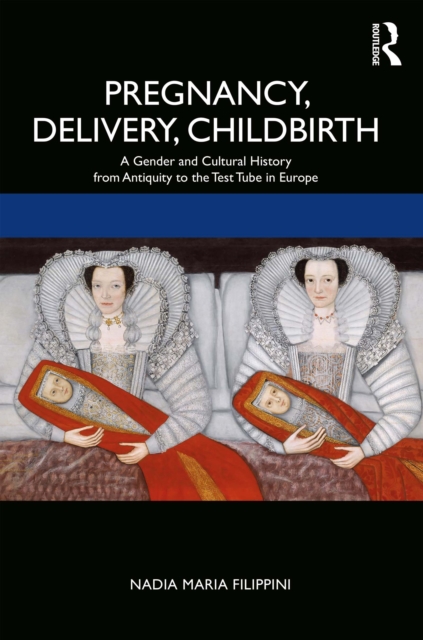Pregnancy, Delivery, Childbirth : A Gender and Cultural History from Antiquity to the Test Tube in Europe, EPUB eBook