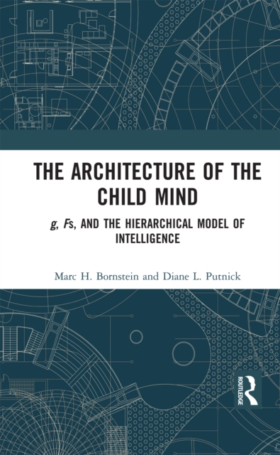 The Architecture of the Child Mind : g, Fs, and the Hierarchical Model of Intelligence, EPUB eBook