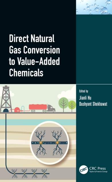 Direct Natural Gas Conversion to Value-Added Chemicals, PDF eBook