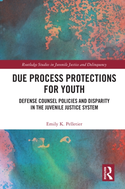 Due Process Protections for Youth : Defense Counsel Policies and Disparity in the Juvenile Justice System, PDF eBook