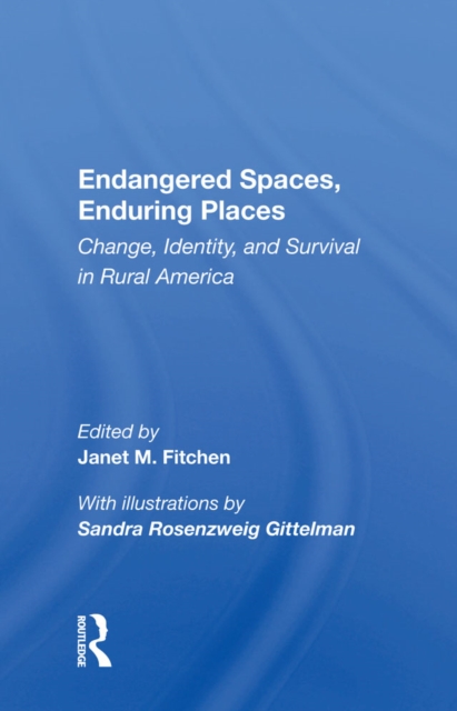 Endangered Spaces, Enduring Places : Change, Identity, And Survival In Rural America, PDF eBook