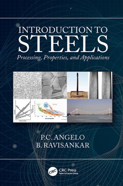 Introduction to Steels : Processing, Properties, and Applications, PDF eBook