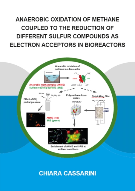 Anaerobic Oxidation of Methane Coupled to the Reduction of Different Sulfur Compounds as Electron Acceptors in Bioreactors, PDF eBook