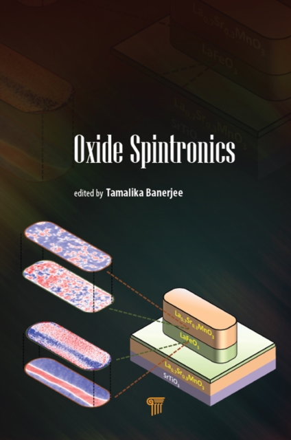 Oxide Spintronics, EPUB eBook