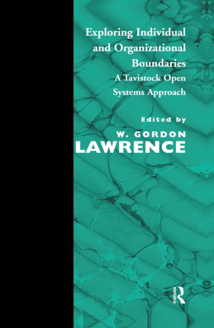 Exploring Individual and Organizational Boundaries : A Tavistock Open Systems Approach, PDF eBook