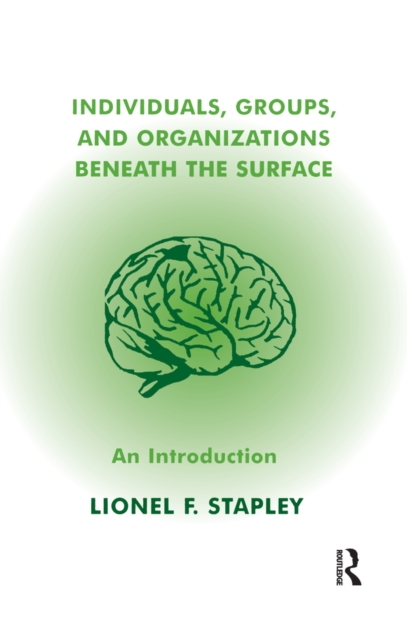 Individuals, Groups and Organizations Beneath the Surface : An Introduction, PDF eBook
