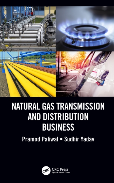 Natural Gas Transmission and Distribution Business, PDF eBook