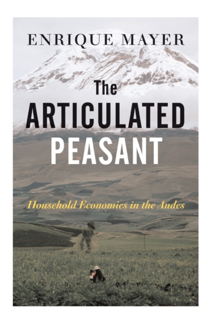 The Articulated Peasant : Household Economies In The Andes, EPUB eBook