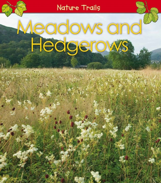 Meadows and Hedgerows, Paperback Book