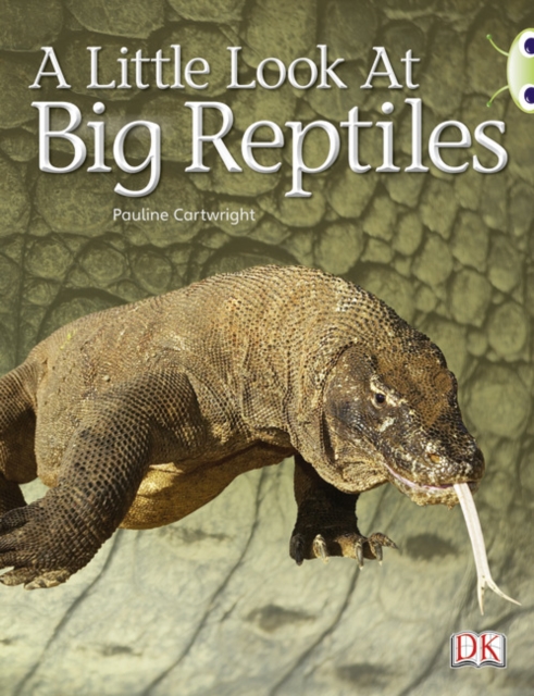 Bug Club Guided Non Fiction Year 1 Blue B A Little Look at Big Reptiles, Paperback / softback Book