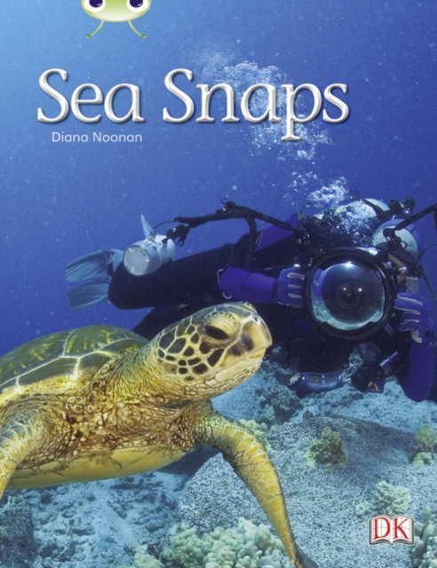 Bug Club Independent Non Fiction Year 1 Green A Sea Snaps, Paperback / softback Book