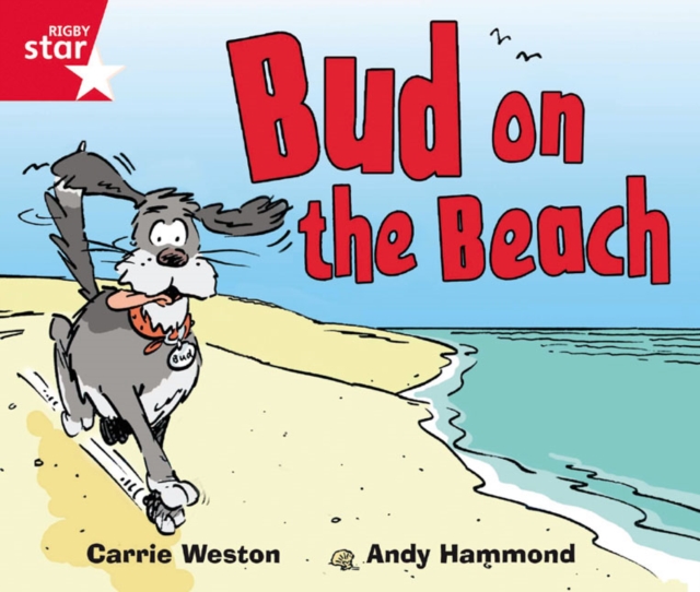 Rigby Star Guided Phonic Opportunity Readers Red: Bud On The Beach, Paperback / softback Book