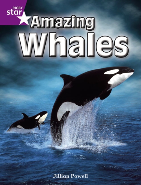 Rigby Star Independent Year 2 Purple Non Fiction: Amazing Whales Single, Paperback / softback Book