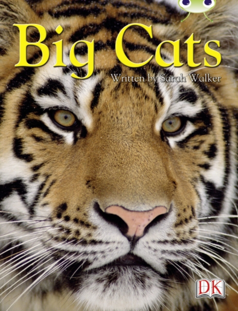 Bc Nf Brown B/3b Big Cats, Paperback Book