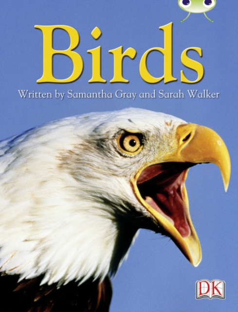 BC NF Grey B/4C Birds, Paperback Book
