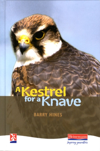 A Kestrel for a Knave, Hardback Book