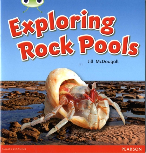 Bug Club Guided Non Fiction Year 1 Green C Exploring Rock Pools, Paperback / softback Book