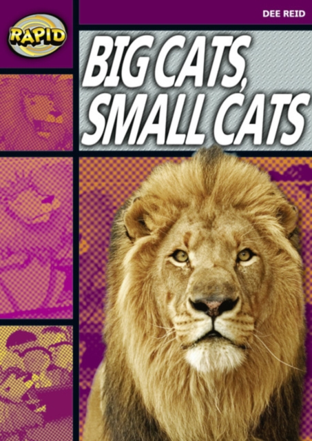 Rapid Reading: Big Cats Small Cats (Stage 1, Level 1A), Paperback / softback Book