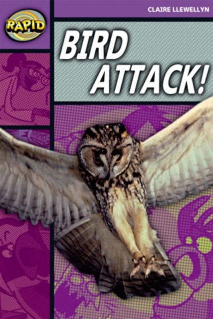 Rapid Stage 1 Level B: Bird Attack! Reader Pack of  3 (Series 2), Multiple copy pack Book