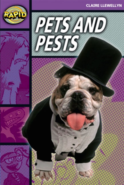 Rapid Stage 1 Set B: Pets and Pests Reader Pack of 3 (Series 2), Multiple copy pack Book