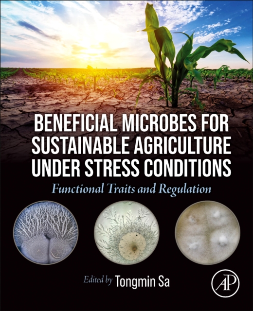 Beneficial Microbes for Sustainable Agriculture under Stress Conditions : Functional Traits and Regulation, Paperback / softback Book