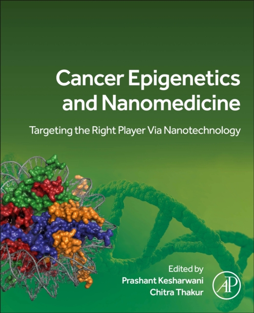 Cancer Epigenetics and Nanomedicine : Targeting the Right Player via Nanotechnology, Paperback / softback Book