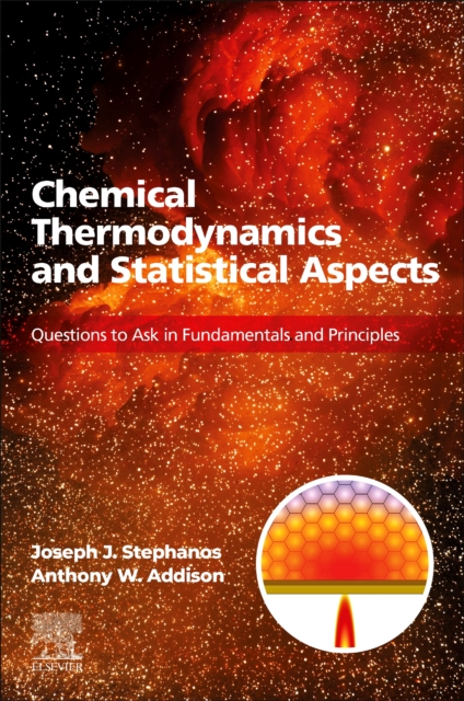 Chemical Thermodynamics and Statistical Aspects : Questions to Ask in Fundamentals and Principles, Paperback / softback Book