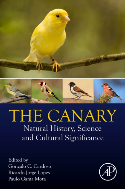 The Canary : Natural History, Science and Cultural Significance, Paperback / softback Book