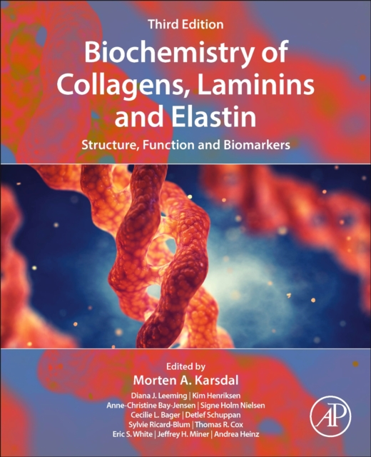 Biochemistry of Collagens, Laminins and Elastin : Structure, Function and Biomarkers, Paperback / softback Book